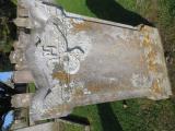 image number C8_208
